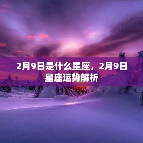 2月9日是什么星座,2月9日星座运势解析