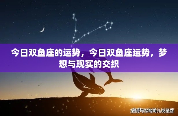 双鱼座今日运势,梦想与现实的交融