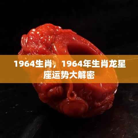配对 第169页