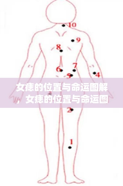 女痣位置与命运图解，揭示痣相学中的奥秘