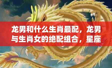 龙男的最佳生肖配对组合与星座爱情中的绝配搭档