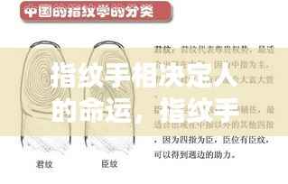 指纹手相揭秘命运密码,揭示未来蓝图与人生轨迹