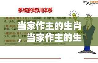 当家作主的生肖,掌握命运之舵,引领未来运势领航