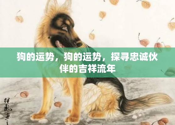 狗的运势揭秘,探寻忠诚伙伴的吉祥流年运势解析
