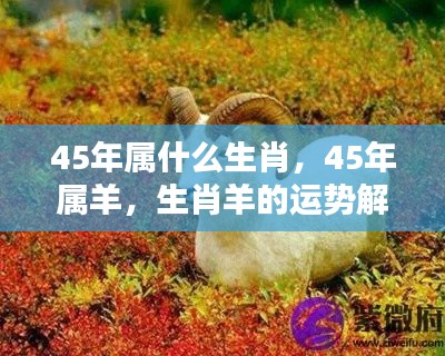 灰飞烟灭 第7页