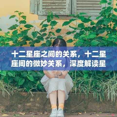 深度解读,十二星座间的微妙关系与相互作用