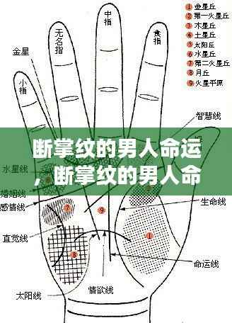 断掌纹男人的命运揭秘，神秘掌纹预示未来走向