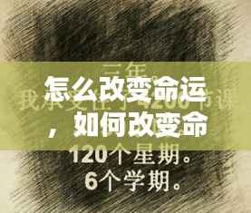 星座指引下的个人成长之路,改变命运的探索与实践