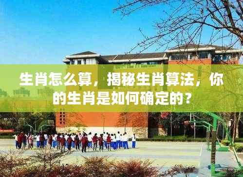 揭秘生肖算法,如何确定你的生肖?