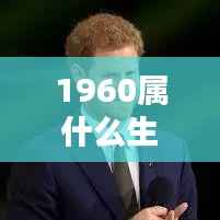 揭秘生肖运势,1960年属鼠人的机遇与挑战与命运之轮揭秘