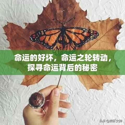探寻命运背后的秘密,命运之轮的转动与命运的好坏之谜