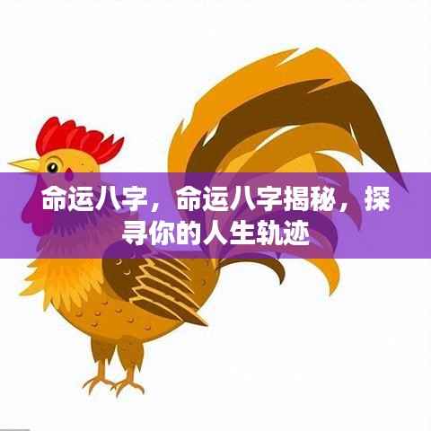 命运八字揭秘,探寻人生轨迹的奥秘