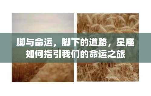 星座指引,脚下的道路与命运之旅的探寻