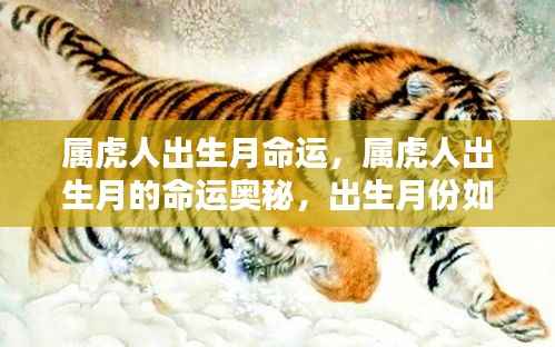 属虎人出生月命运揭秘,性格与未来如何被出生月份塑造?