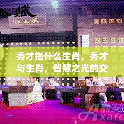 秀才与生肖,智慧光芒下的生肖之谜