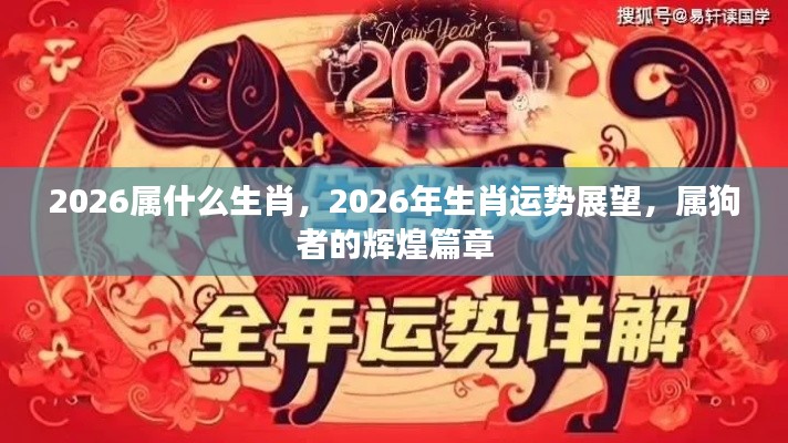 2026年属狗者的运势展望,辉煌篇章开启