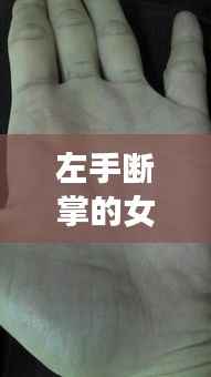 左手断掌女性的命运解读,手相与星象的交织分析