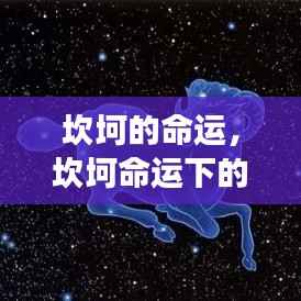 逆境中的希望与挑战,星座运势在坎坷命运下的探索