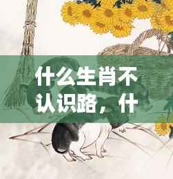 生肖与方向感之谜,哪些生肖容易迷失方向?深度解读生肖导航能力之谜。