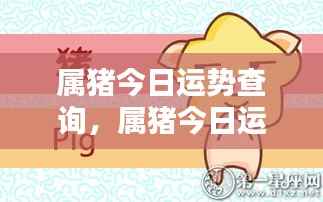 属猪今日运势查询，掌握好运势，迎接美好一天