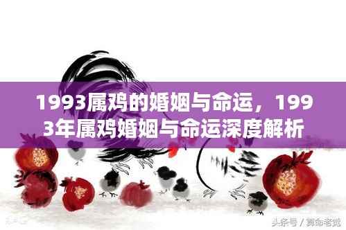 1993年属鸡婚姻与命运深度解析，探寻鸡年出生的情感与人生轨迹