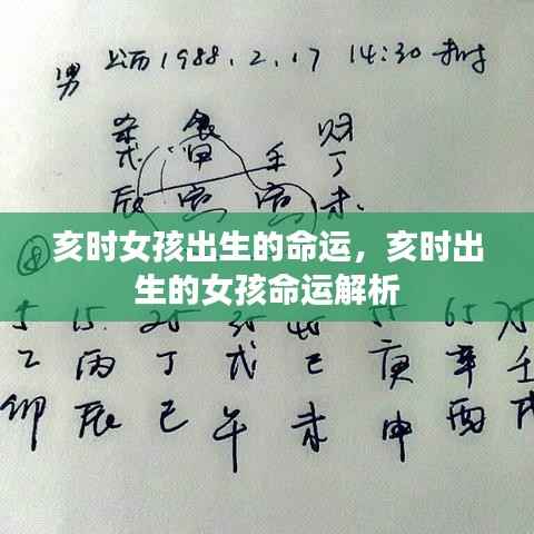 亥时出生的女孩命运解析与特点探究