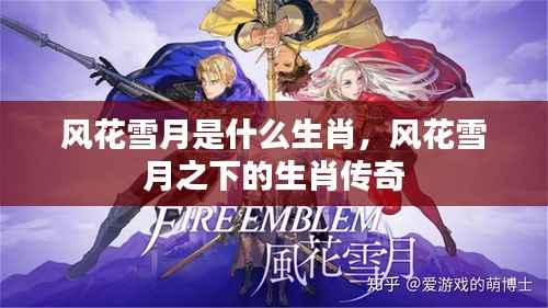 风花雪月下的生肖传奇,探寻神秘生肖之谜