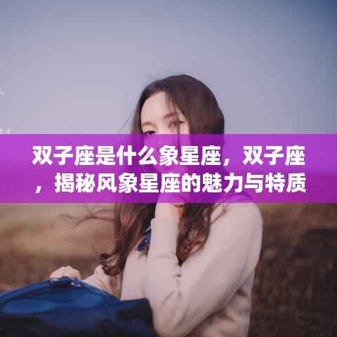 揭秘双子座,风象星座的魅力与特质解析