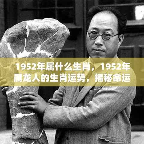 揭秘1952年属龙人的生肖运势与命运轨迹,洞悉人生起伏