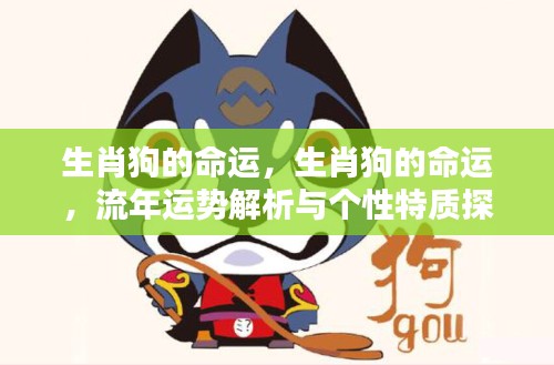 生肖狗的命运解析,流年运势与个性特质深度探讨