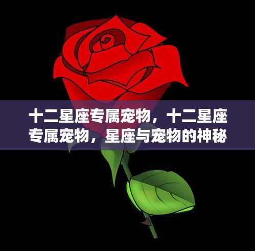 箭拔弩张 第4页