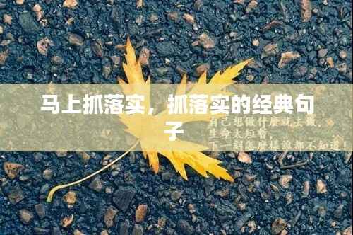 马上抓落实，抓落实的经典句子 