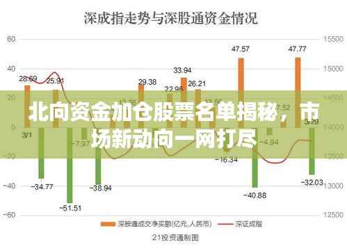 北向资金加仓股票名单揭秘，市场新动向一网打尽