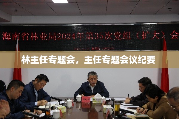 林主任专题会,主任专题会议纪要