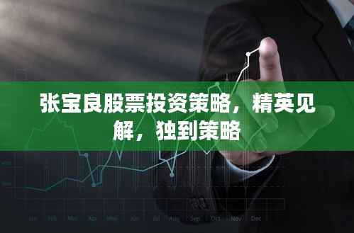 张宝良股票投资策略,精英见解,独到策略