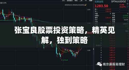 张宝良股票投资策略,精英见解,独到策略