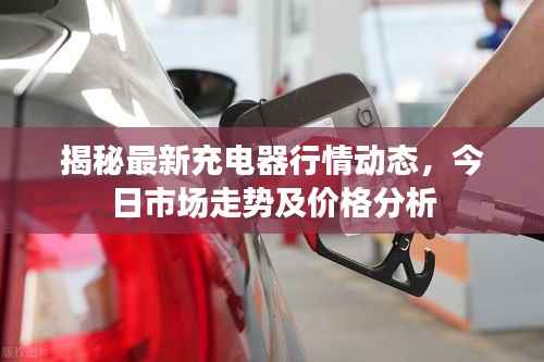 揭秘最新充电器行情动态,今日市场走势及价格分析