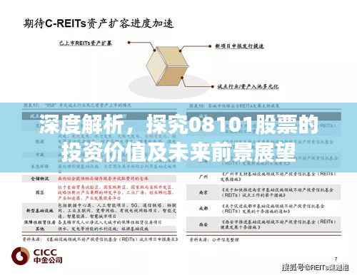 深度解析，探究08101股票的投资价值及未来前景展望