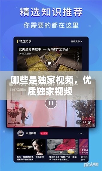 哪些是独家视频,优质独家视频