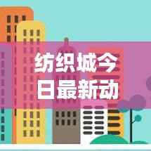 纺织城今日最新动态概览