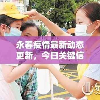 永春疫情最新动态更新，今日关键信息速览