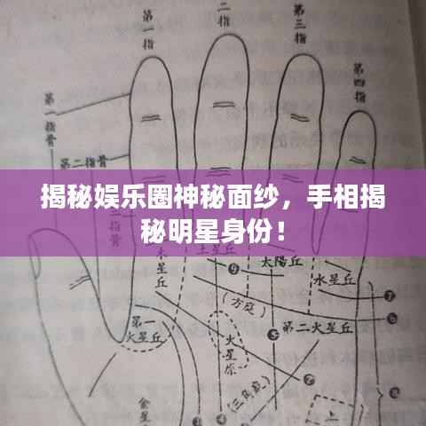 揭秘娱乐圈神秘面纱,手相揭秘明星身份!