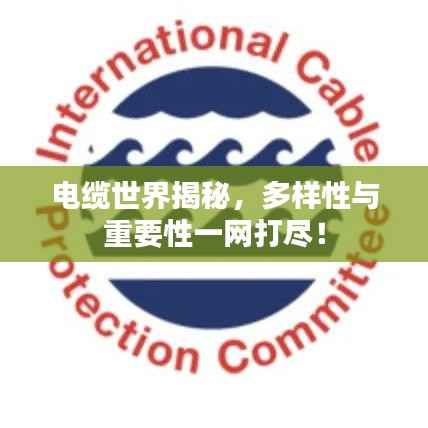 电缆世界揭秘,多样性与重要性一网打尽!