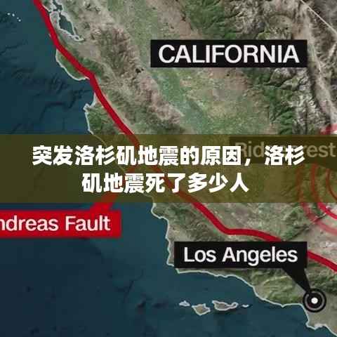 刚毅木讷 第4页