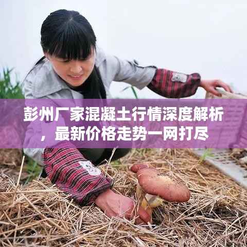 六鹢退飞 第4页