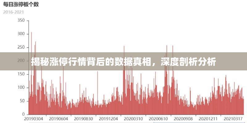 揭秘涨停行情背后的数据真相，深度剖析分析